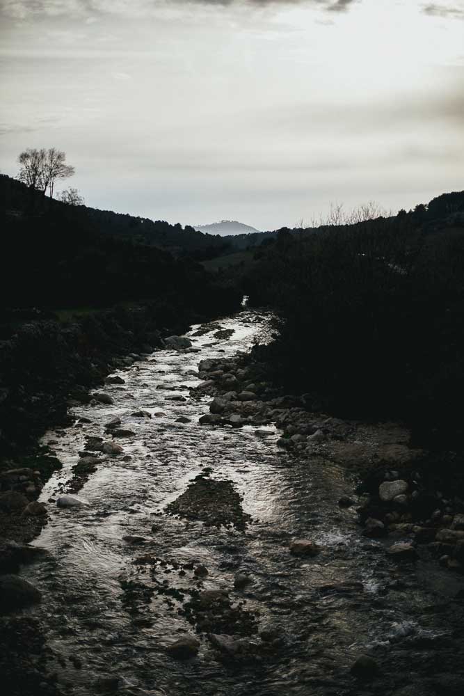 El principio que salió de la carpa
